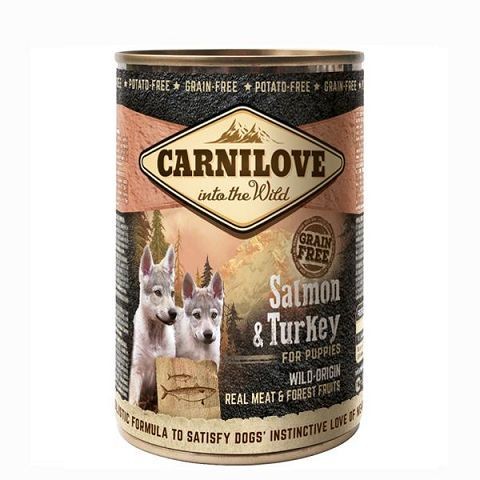 CARNILOVE SAUMON & DINDE 400G