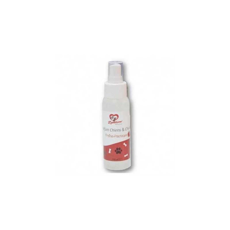 ZANILOVE PARFUM FRAISE-PASTÈQUE 100 ML