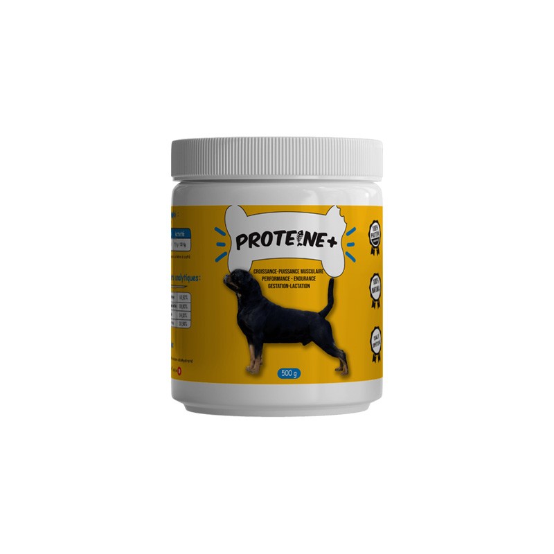 SPOOKY & DIVA PROTEINE PLUS 500GR