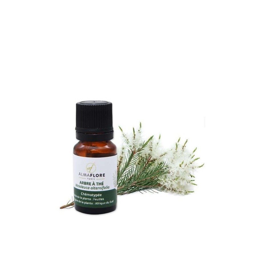 ALMAFLORE HUILE ESSENTIELLE ARBRE À THE 10ML