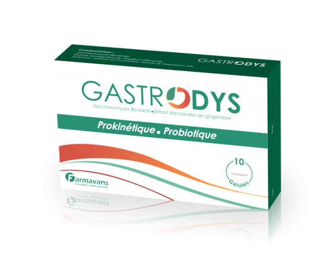 FARMAVANS GASTRODYS 10 GELULES